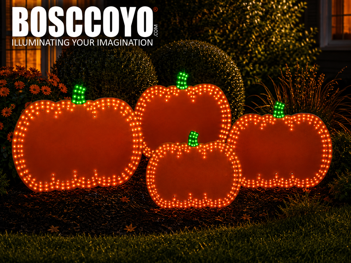 Pumpkin 24"--3 Ring